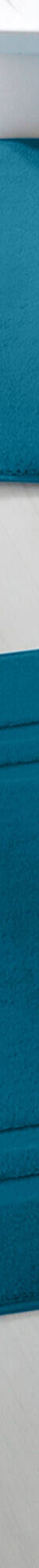 Tapis de bain éponge double liteau (bleu paon) Tapis de bain éponge double liteau (bleu paon)